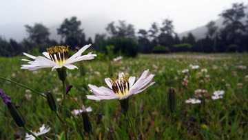 R0010925.jpg