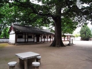 R0010980.jpg