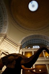 IMGP7734.jpg