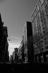 IMGP8000.jpg