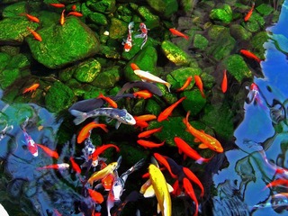 DSC02043-2.jpg
