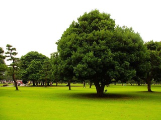 IMGP4645.jpg
