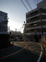 IMGP4782.jpg