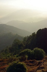 IMGP9726.jpg
