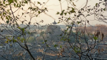 DSC_3731-编辑