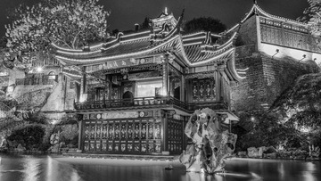 DSC_6500-编辑