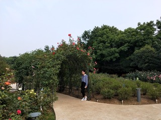 140826