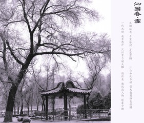 执手听风吟_沁园春·雪