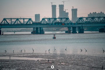 1000025721