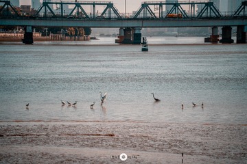 1000025723