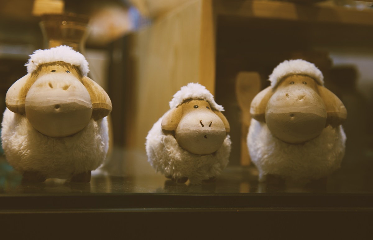 孤独的你和十万嬉皮士