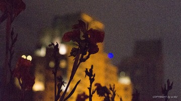 _DSC7978