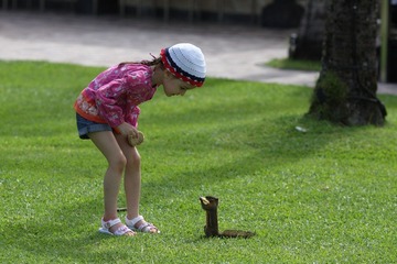 IMG_5184.JPG