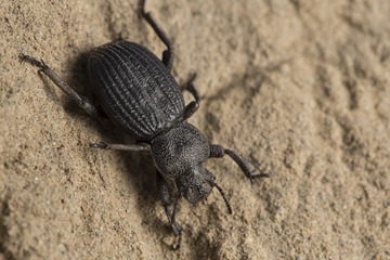 IMG_0898.JPG