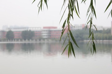 IMG_0330.JPG