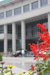 IMG_0333.JPG