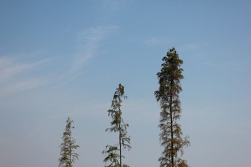 IMG_1188.JPG