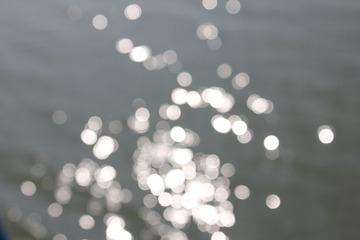 IMG_1213.JPG