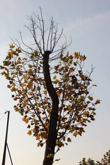 IMG_1317.JPG
