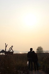 IMG_1372.JPG