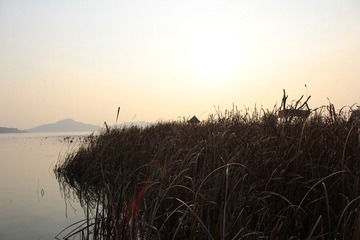 IMG_1383.JPG