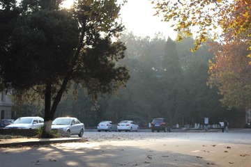 IMG_1437.JPG