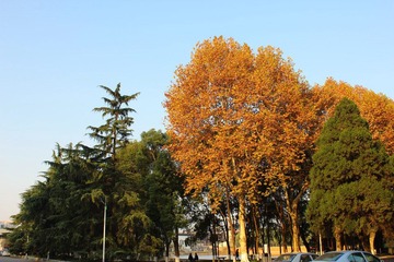 IMG_1439.JPG