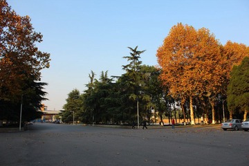 IMG_1442.JPG