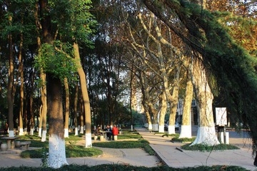 IMG_1445.JPG