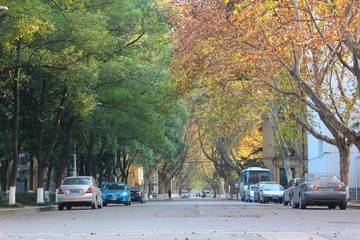 IMG_1451.JPG