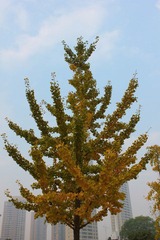 IMG_1513.JPG