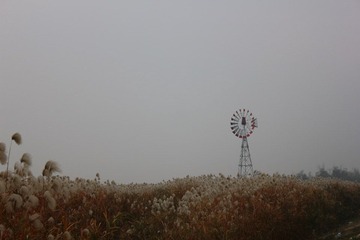 IMG_1532.JPG