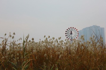 IMG_1544.JPG