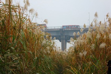 IMG_1572.JPG