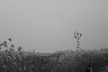 IMG_1533.JPG