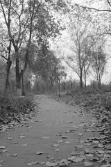 IMG_1586.JPG