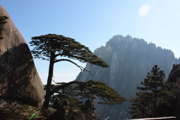 IMG_2560.JPG