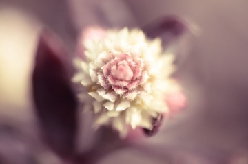 20130121-DSC_0114.jpg