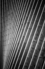 20130121-DSC_0154.jpg