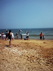 20090814177.jpg