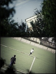 IMG_201226.jpg