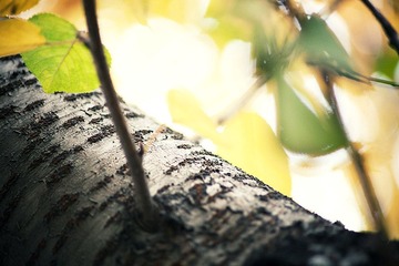 IMG_2336.jpg
