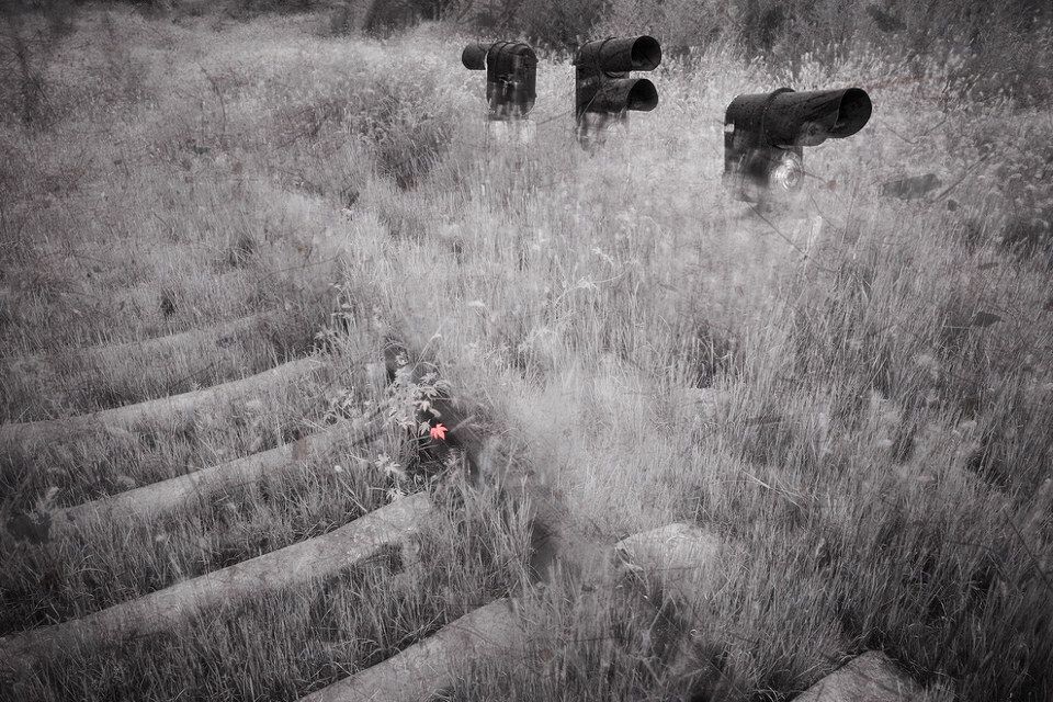 立秋<br />
