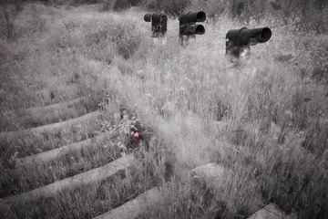 立秋