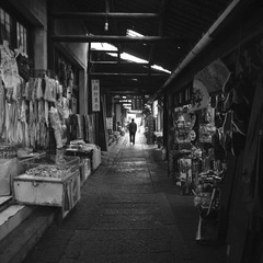 DSC_1317.jpg