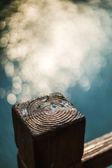 _DSC8154