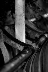 IMG_0004.JPG