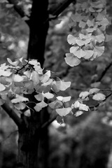 IMG_0010.JPG