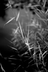 IMG_0048.JPG