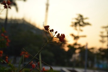 DSC_0001.JPG